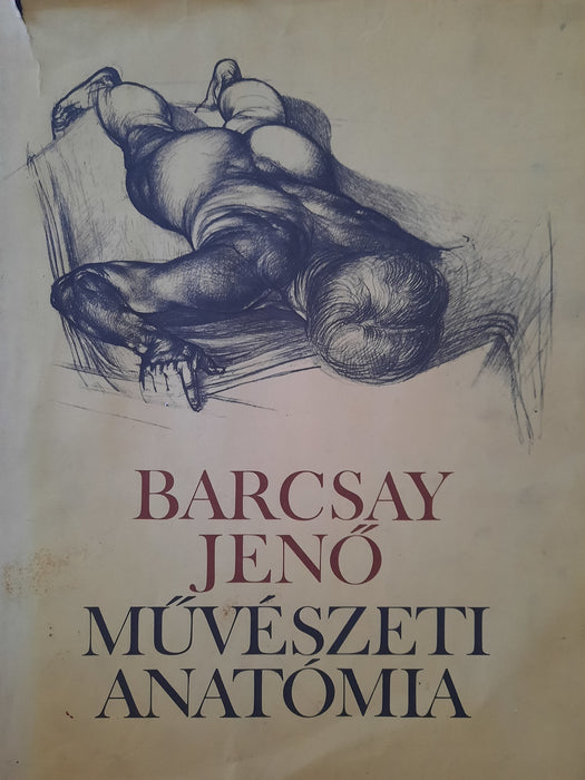 Művészeti anatómia