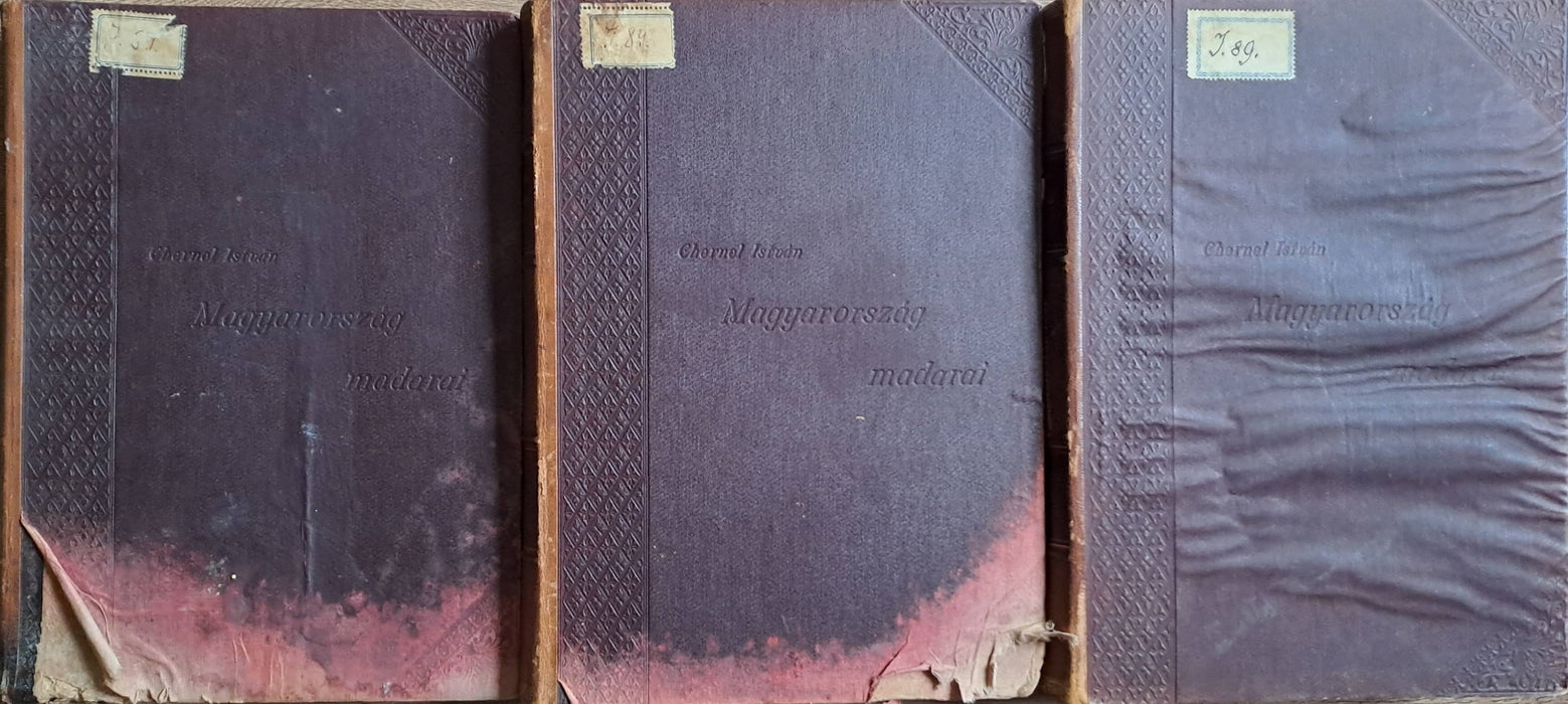 Magyarország madarai I-II/1-2.