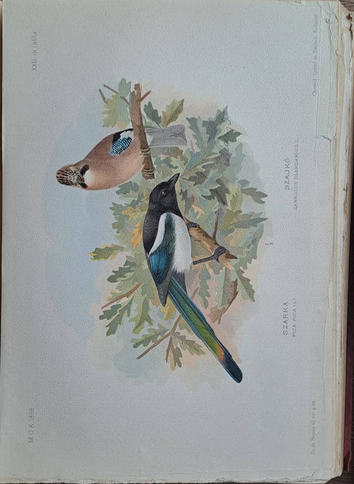 Magyarország madarai I-II/1-2.