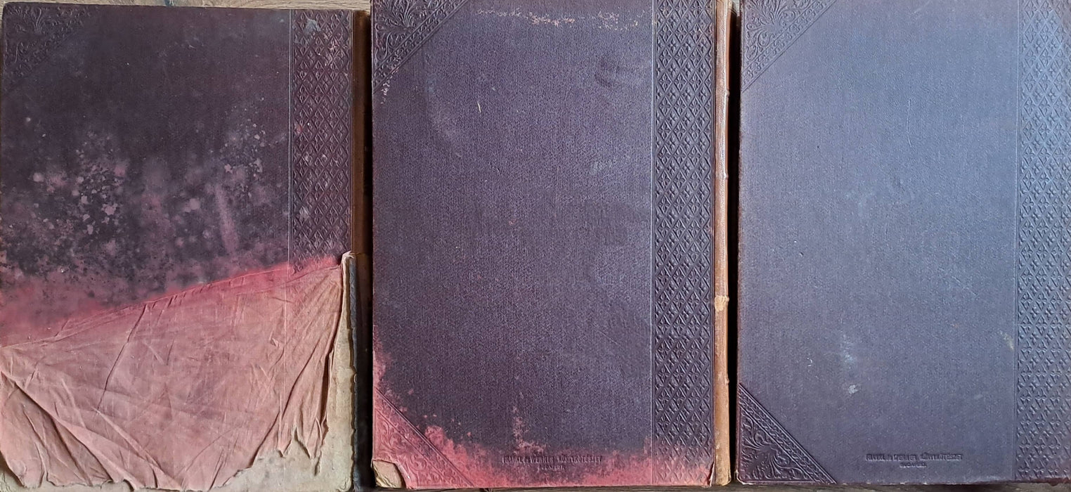 Magyarország madarai I-II/1-2.