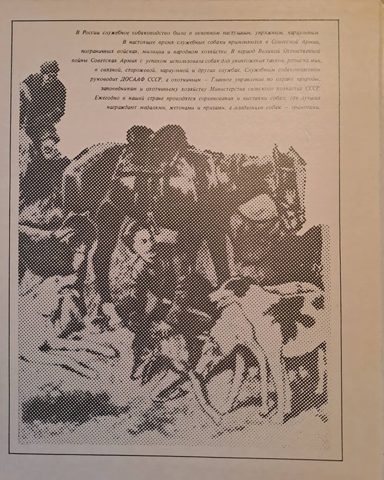 Служебные и охотничьи собаки - спички - Segítő és vadászkutyák - gyufák