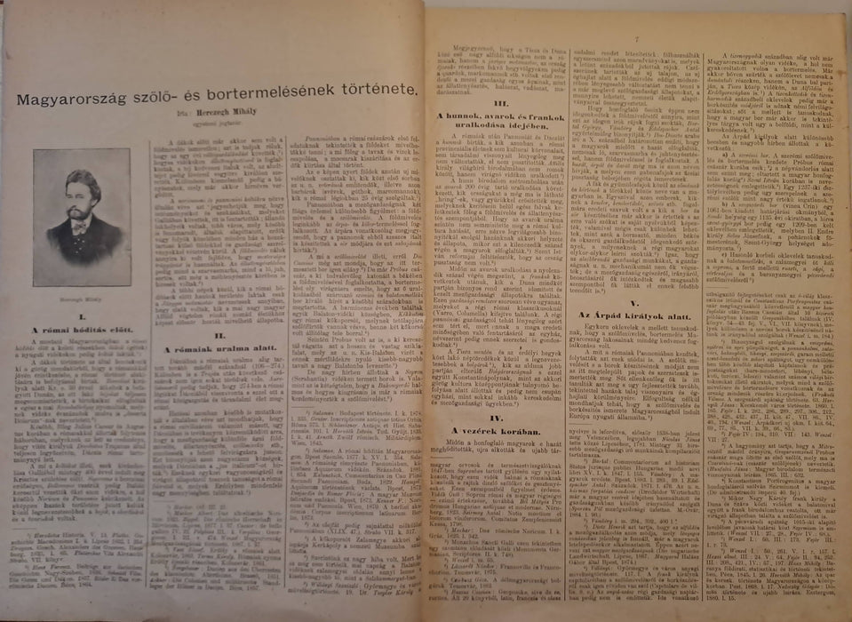 Borászati Lapok jubileumi különlenyomata / emlékkötete