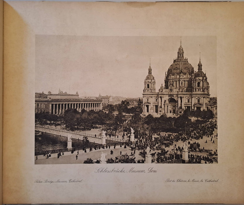 Az állatok világa 3. Emlősök III.