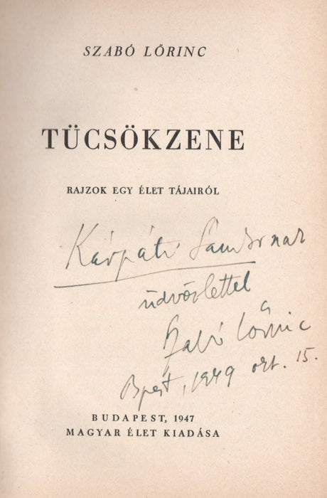 Tücsökzene