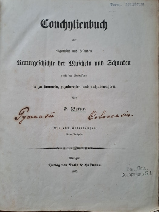 Conchylienbuch