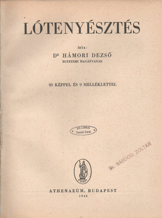 Lótenyésztés