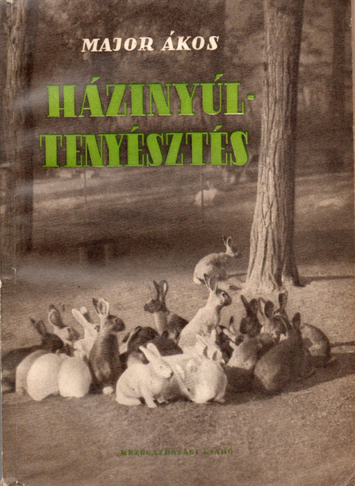 Házinyúltenyésztés