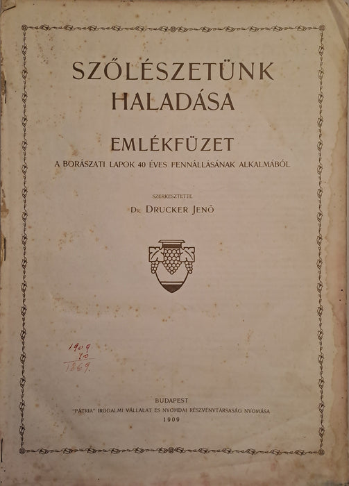 Szőlészetünk haladása