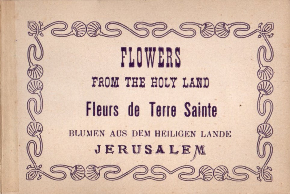 Flowers from the Holy Land - Jerusalem