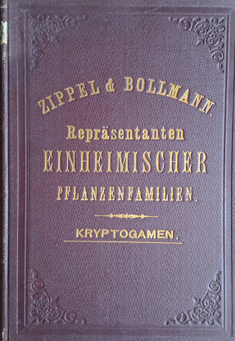 Repräsentanten einheimischer Pflanzenfamilien: Phanerogamen I-IV. - Kryptogamen