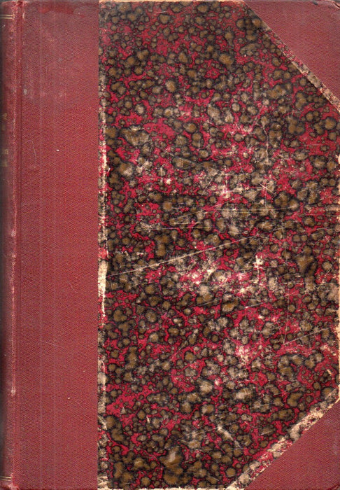 Szabadságharczunk és a dako-román törekvések