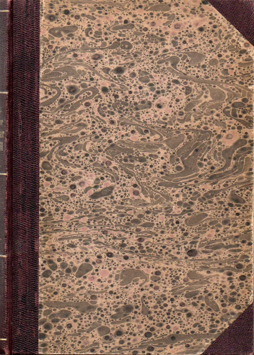 A magyar írónőkről