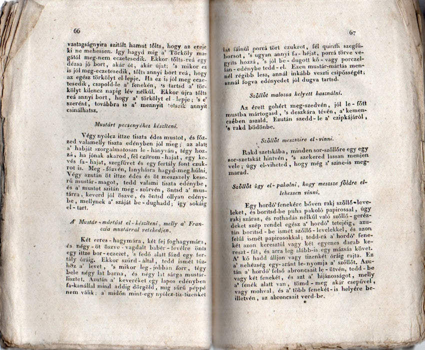 Hasznos Házi Jegyzetek