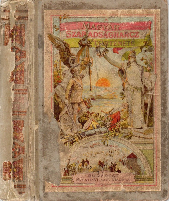 A magyar szabadságharcz története