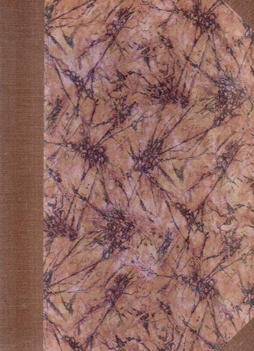 A Kegyes-Tanítórendiek budapesti társházának és főgimnáziumának építkezése