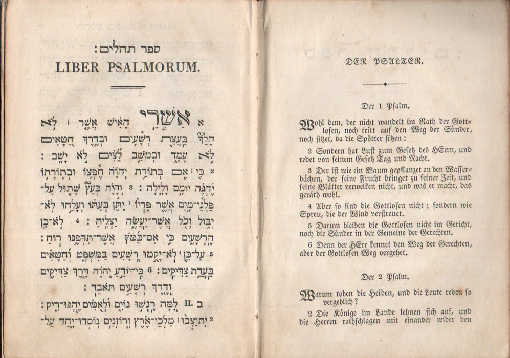 :ספר תהלים - Der Psalter