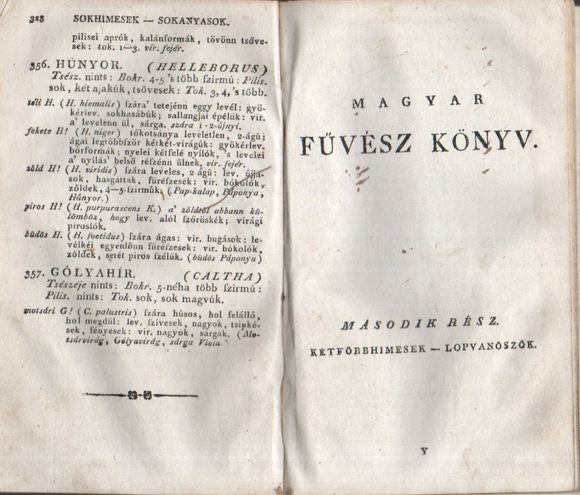 A szerencsés expedíció