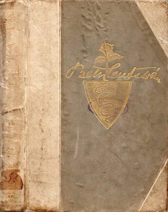 Bethlen István gróf