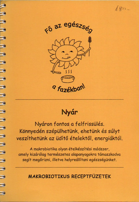 Repülőmodellek építése