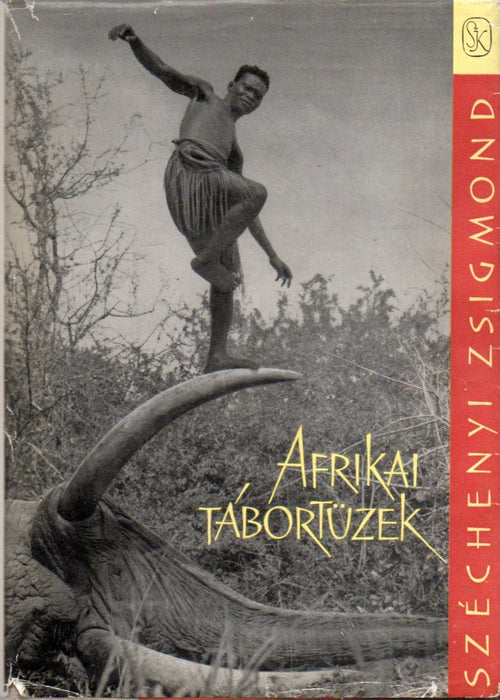 Afrikai tábortüzek