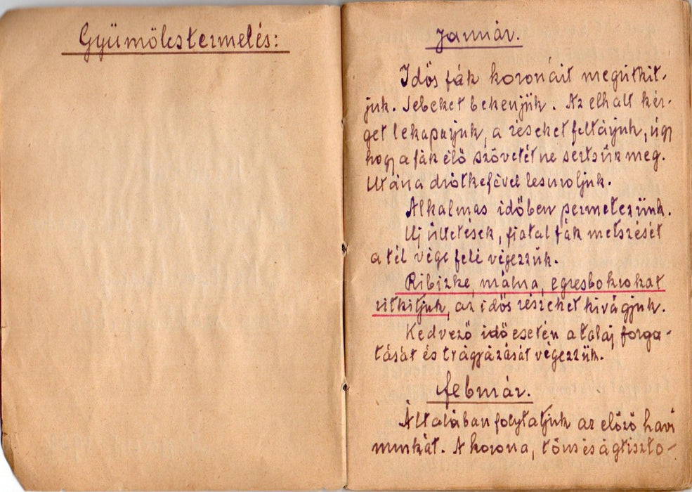 Kivonat dr. Vass András okl. gazda "Kertgazdaság" című szakkönyvéből