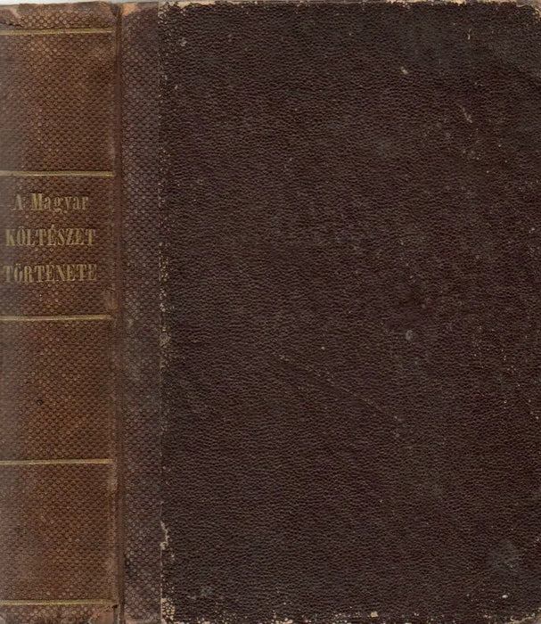 A magyar költészet története I-II.