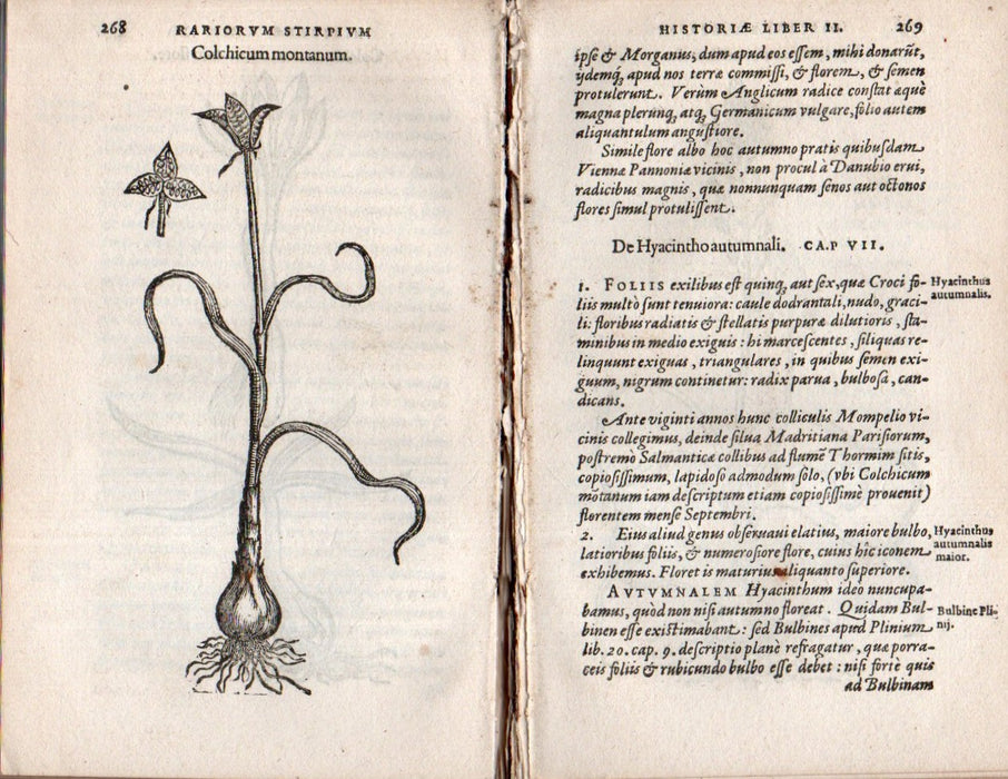 Rariorum aliquot stirpium per Hispanias observatarum historia