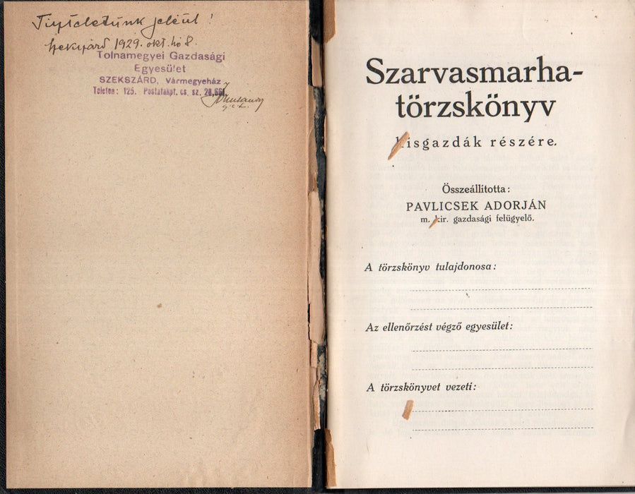 Szarvasmarhatörzskönyv kisgazdák részére - Kaposvár (1929)