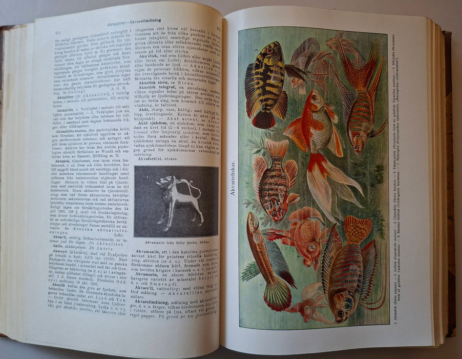 Kis hármaskönyv I-III.
