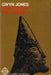 A History of the Vikings
