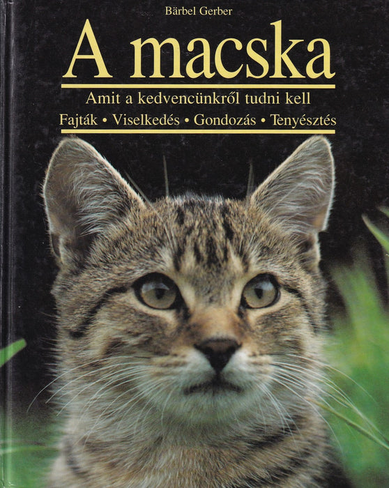 A macska