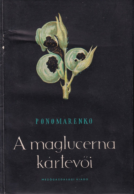 A maglucerna kártevői
