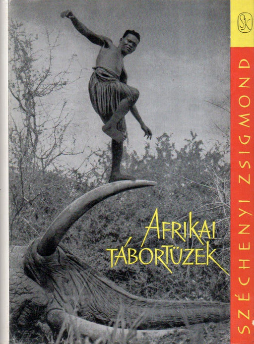 Afrikai tábortüzek