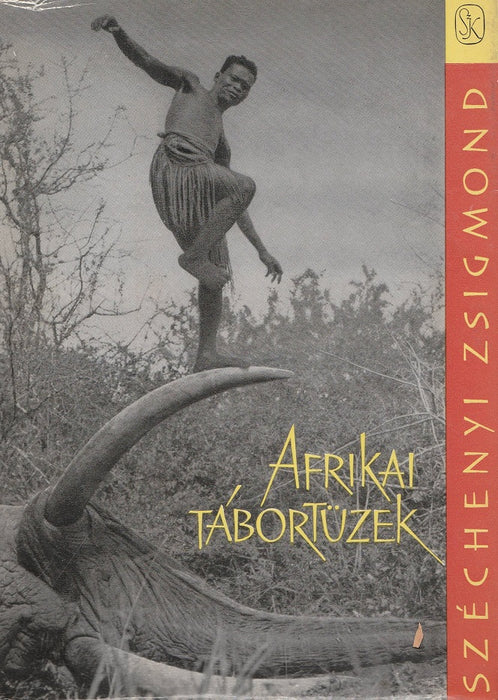 Afrikai tábortüzek