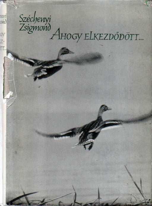 Ahogy elkezdődött...