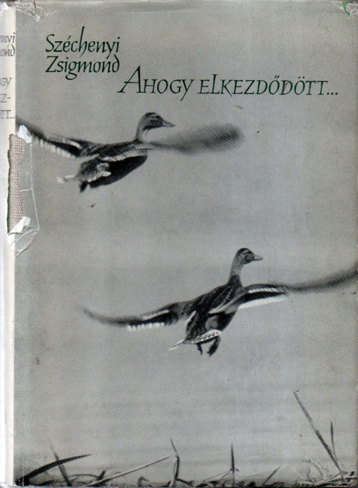 Ahogy elkezdődött...