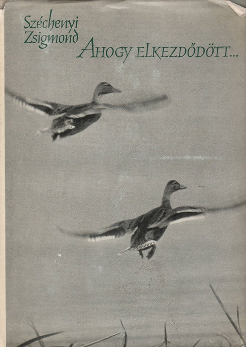 Ahogy elkezdődött