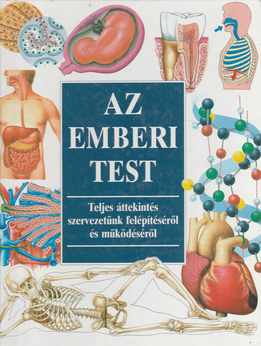 Az emberi test
