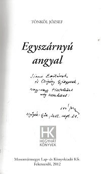 Egyszárnyú angyal