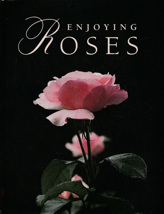 Enjoying Roses