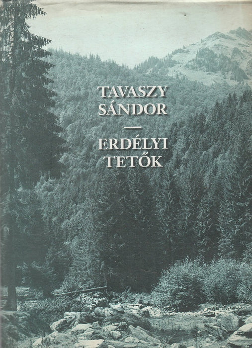 Erdélyi tetők