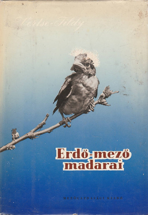 Erdő-mező madarai