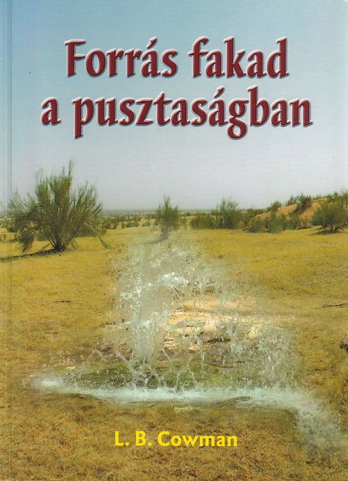 Forrás fakad a pusztaságban