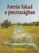 Forrás fakad a pusztaságban