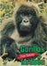 Gorillák a ködben