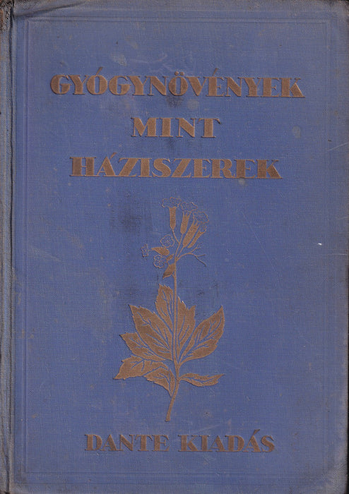 Gyógynövények mint háziszerek