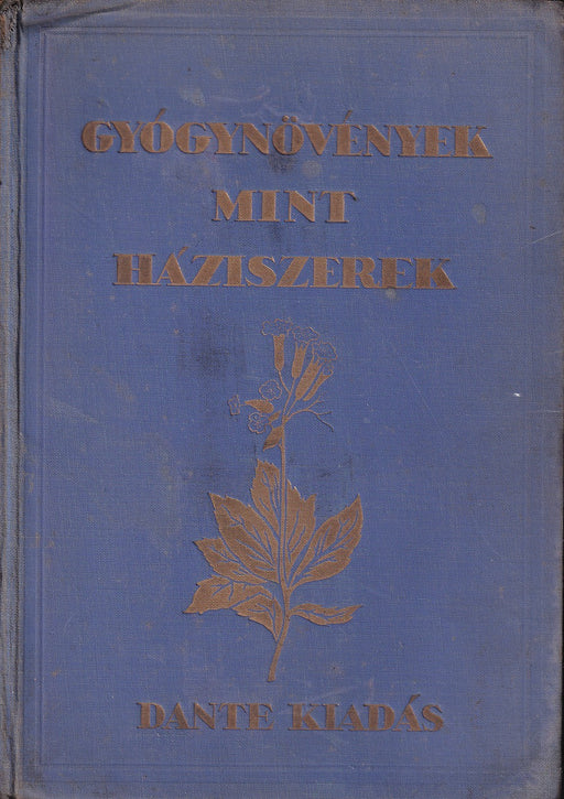 Gyógynövények mint háziszerek