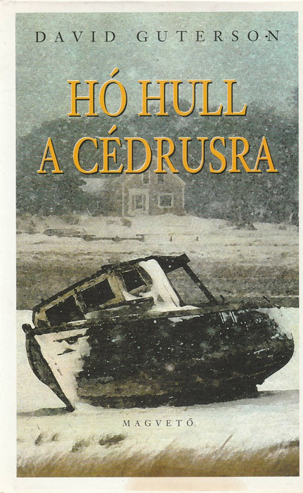 Hó hull a cédrusra