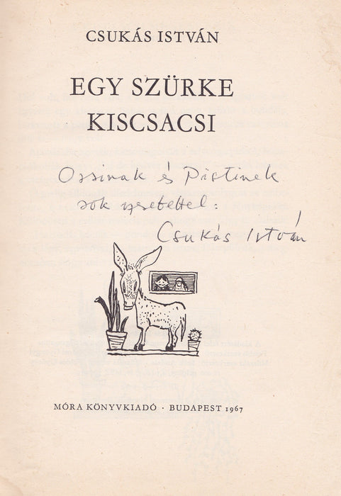 Egy szürke kiscsacsi