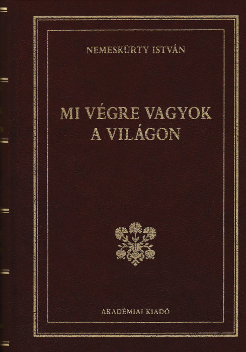 Mi végre vagyok a világon